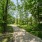 walk path in woods Apts for rent Fort Washington PA J Veridian Upper Dublin 